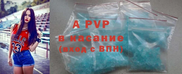 ECSTASY Корсаков