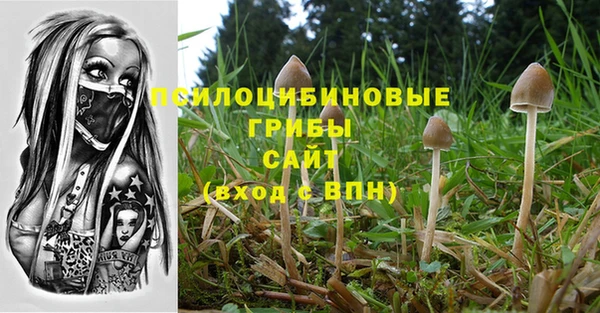 ECSTASY Корсаков