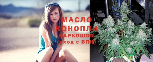 ECSTASY Корсаков